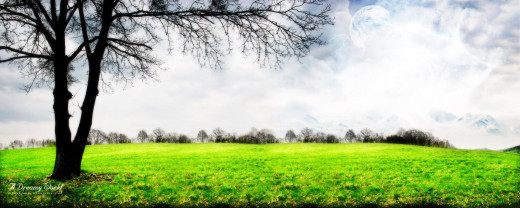 436210 (a): :2560x1024